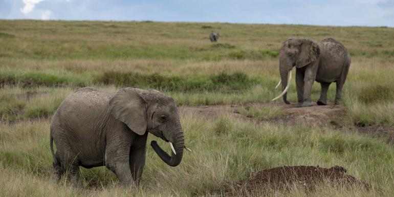 Masai & Tanzania Camping Safari