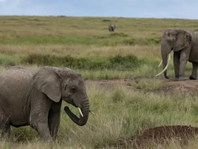 Masai & Tanzania Camping Safari