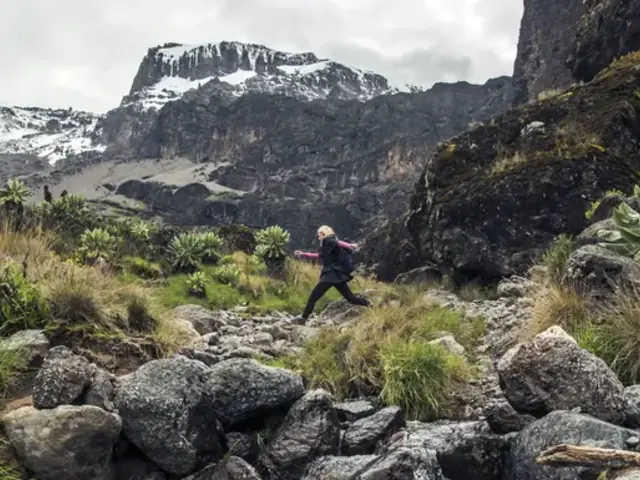 Kilimanjaro – Machame Route & Serengeti Adventure