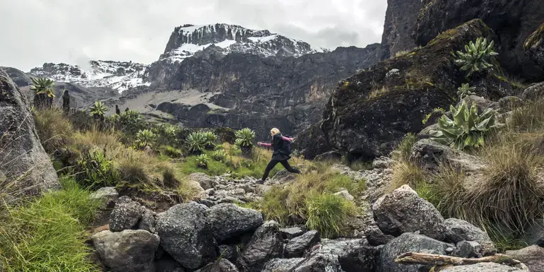 Kilimanjaro – Machame Route & Serengeti Adventure