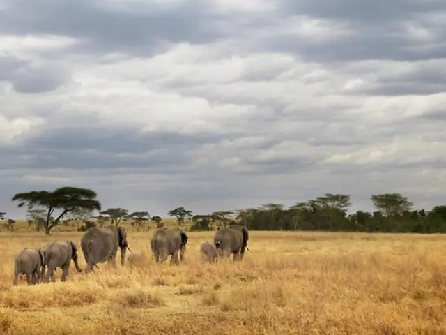 Tanzania Camping Adventure