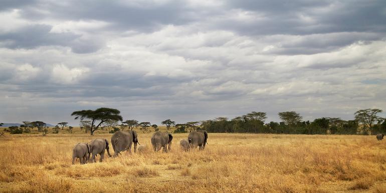 Tanzania Camping Adventure
