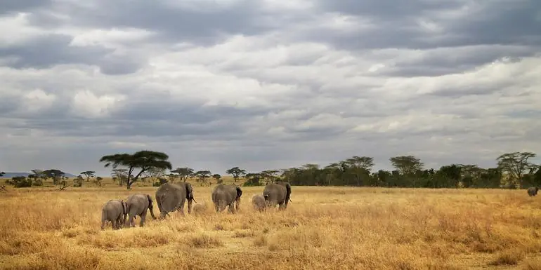 Tanzania Camping Adventure
