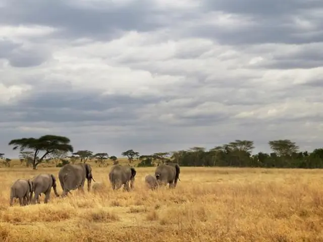 Tanzania Camping Adventure