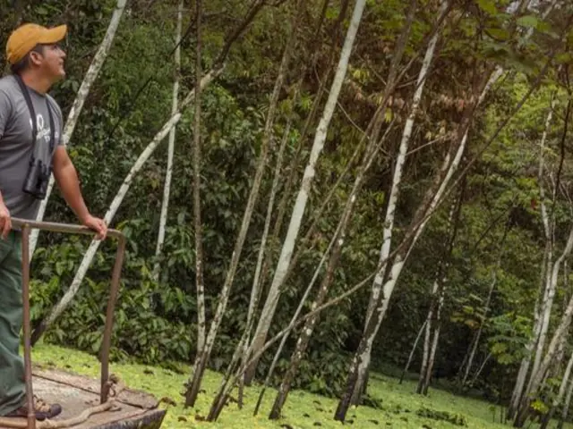 G Lodge Amazon - 5 Day Independent Adventure