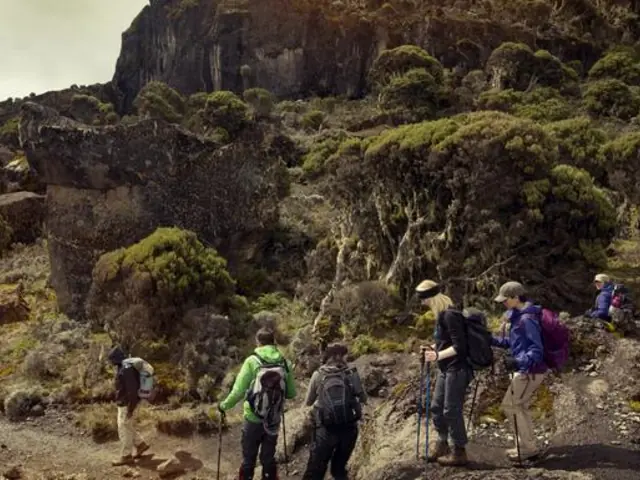 Mt Kilimanjaro Trek - Machame Route (8 Days)