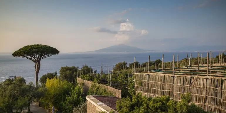 Local Living Italy—Sorrento
