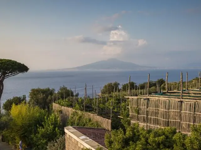 Local Living Italy—Sorrento