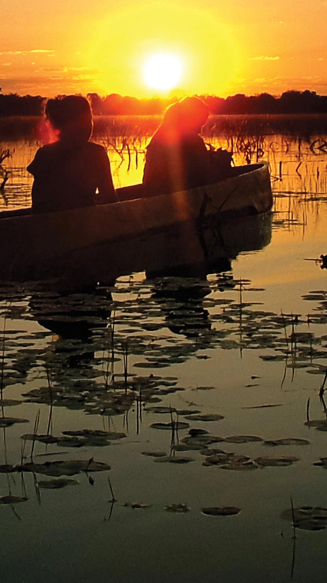 Botswana and Falls Overland: Wildlife Walks & Safari Drives