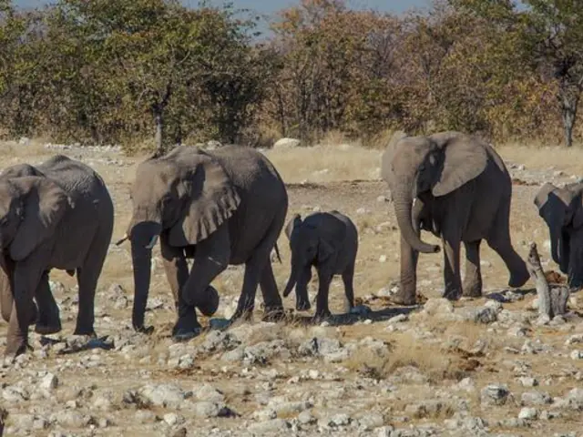 Delta & Falls Westbound: Natural Wonders & Wildlife