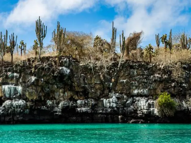 Galápagos Adventure: Snorkelling & Sea Lions