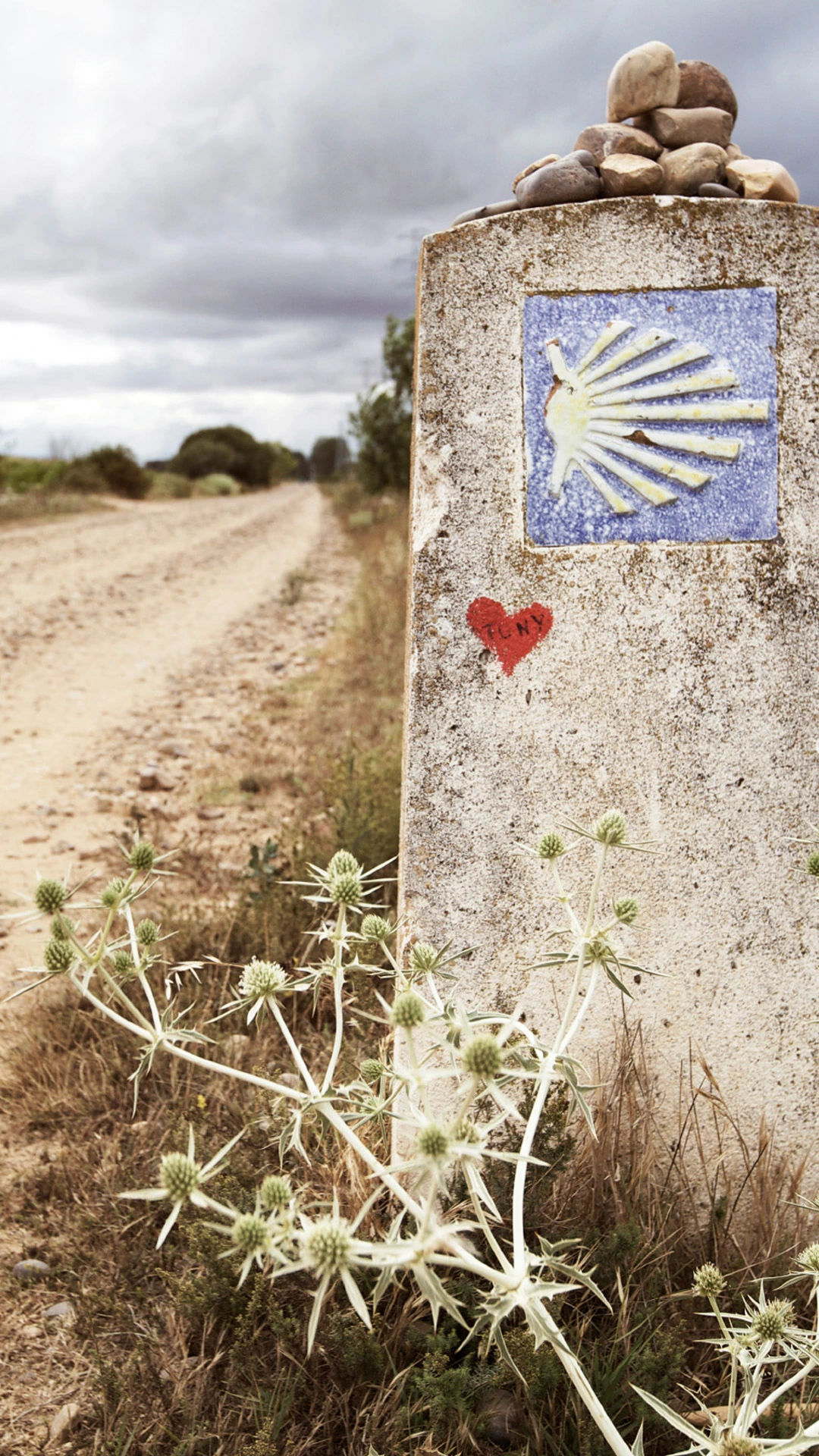 Walk the Camino de Santiago