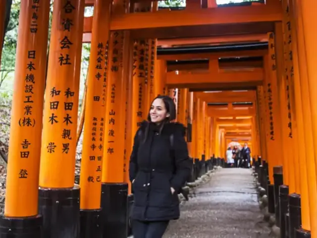 Epic Japan: Speed Trains & Street Food