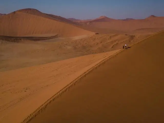 Cape & Dunes Northbound: Wildlife & Starry Night Skies