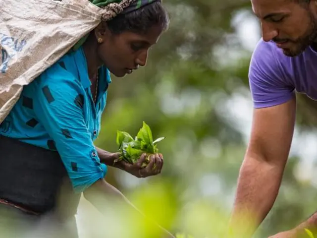 Journeys: Discover Sri Lanka
