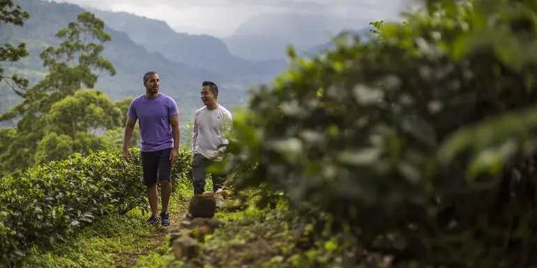 Journeys: Discover Sri Lanka