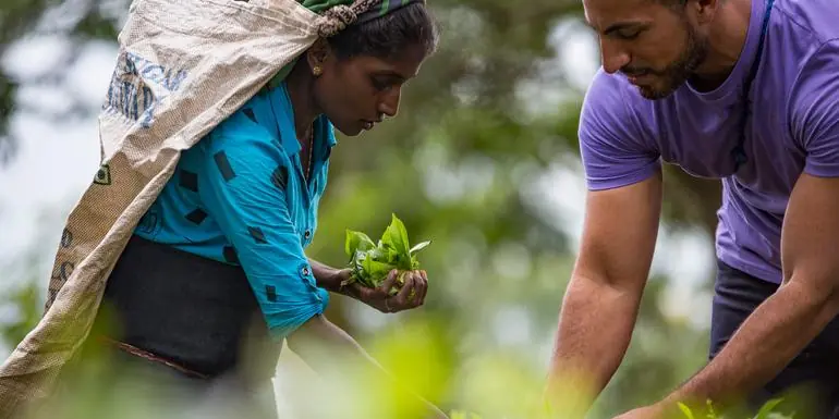 Journeys: Discover Sri Lanka