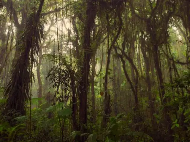 Journeys: Highlights of Costa Rica