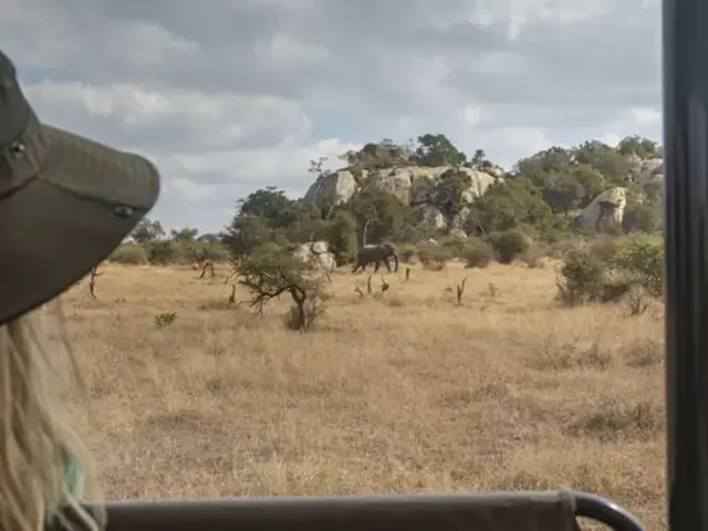 Journeys: Explore Kruger National Park