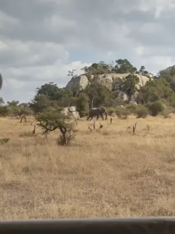 Journeys: Explore Kruger National Park