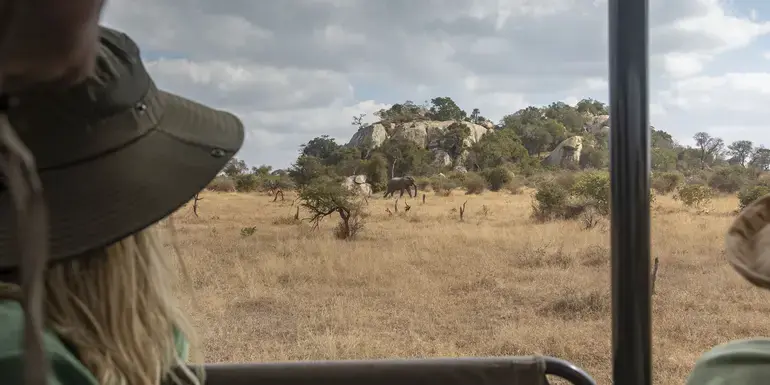 Journeys: Explore Kruger National Park