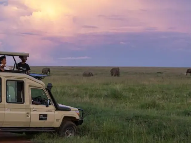 Journeys: Tanzania Safari Experience