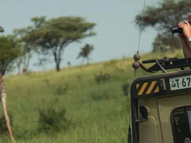 Journeys: Tanzania Safari Experience