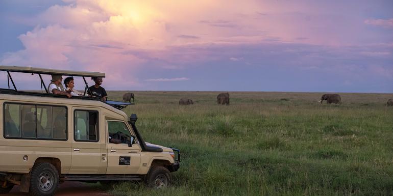 Journeys: Tanzania Safari Experience