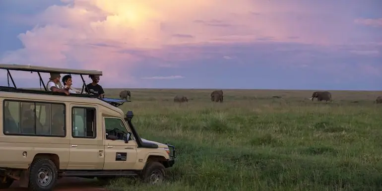 Journeys: Tanzania Safari Experience