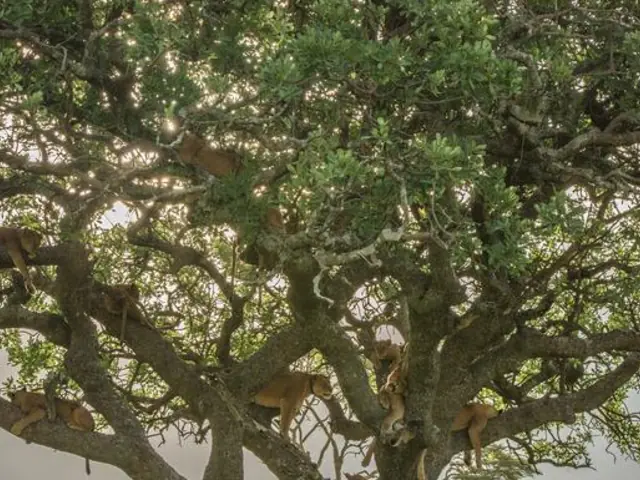 Nairobi to Joburg Overland: Craters & Camping