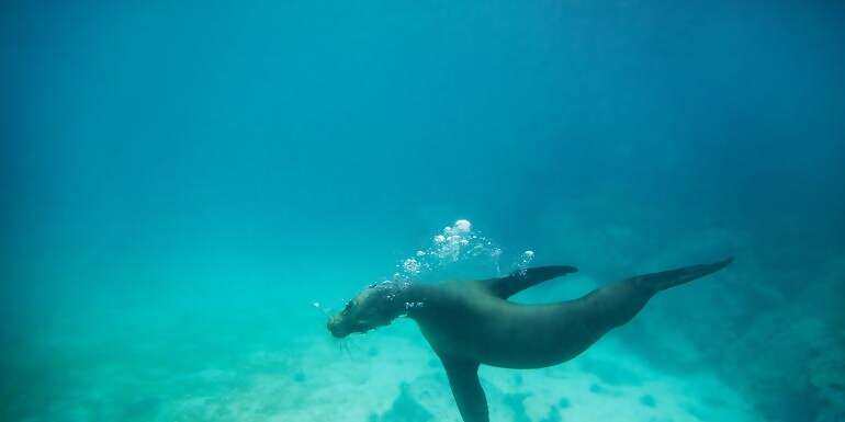 Galápagos Land & Sea — Central & South Islands aboard the Yolita