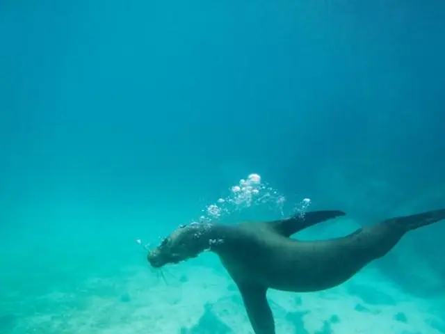 Galápagos Land & Sea — Central & South Islands aboard the Yolita