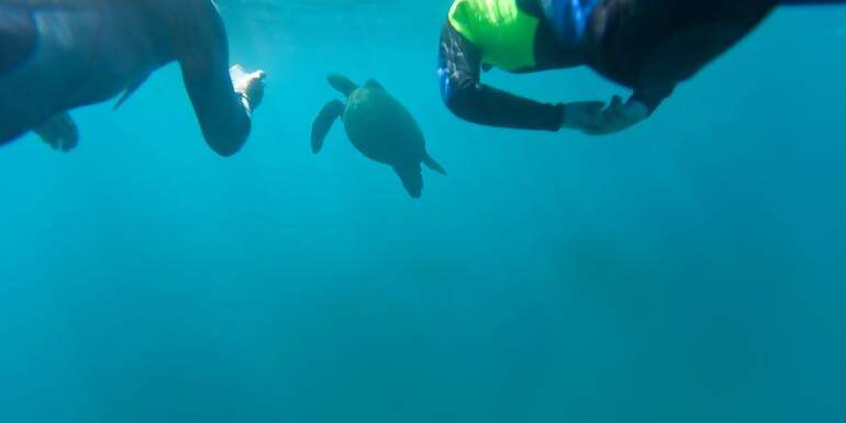 Galápagos Multisport