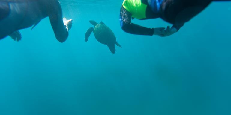 Galápagos Multisport