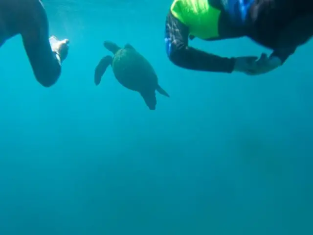 Galápagos Multisport