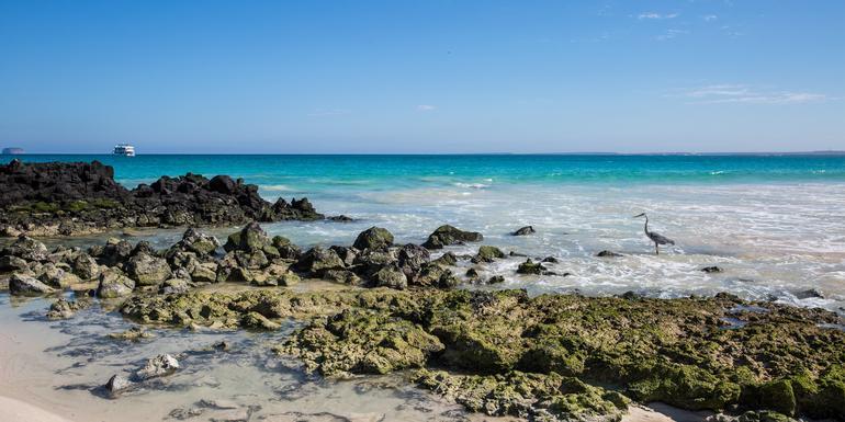 Galápagos Island Hopping