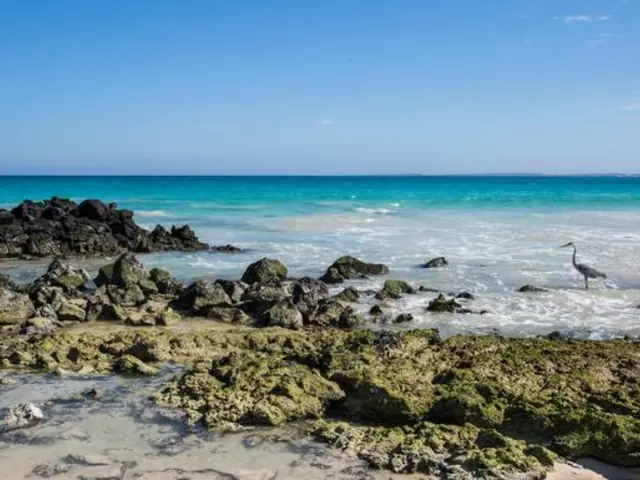 Galápagos Island Hopping