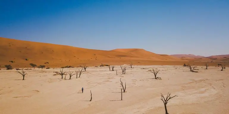 Journeys: Discover Namibia & Victoria Falls