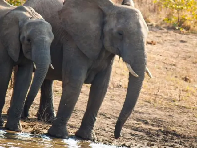 Journeys: Cape Town, Kruger & Namibia