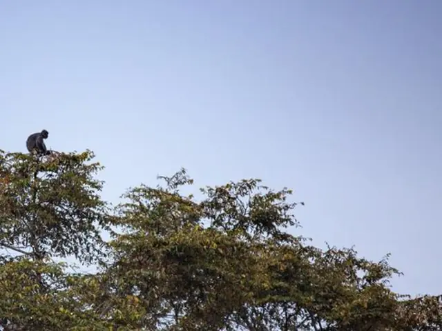 Highlights of Sabah & Mt Kinabalu