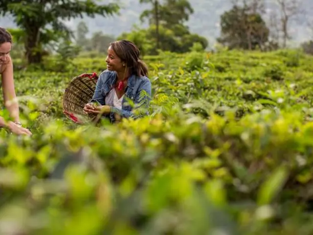 India to Sri Lanka: The Pink City & Spice Gardens