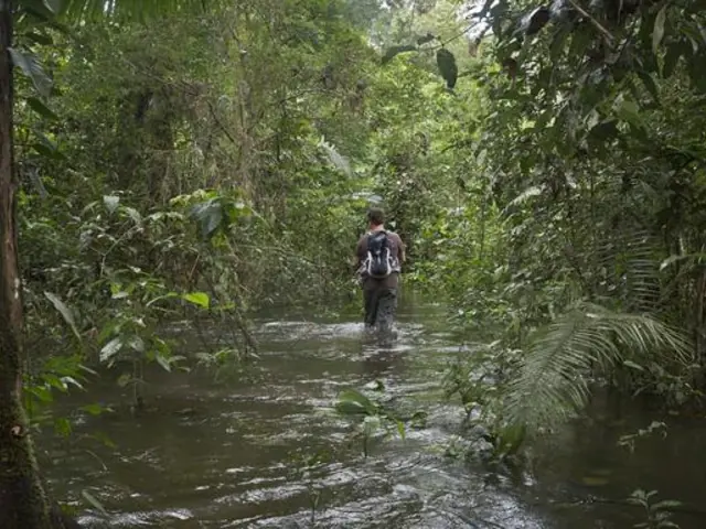 Inland & Amazon