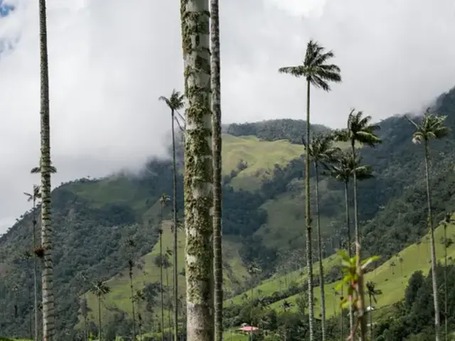 Journeys: Explore Colombia