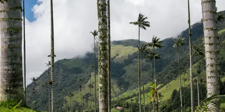 Journeys: Explore Colombia