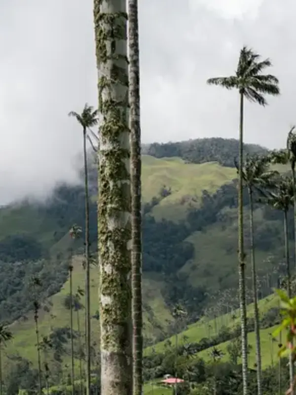 Journeys: Explore Colombia