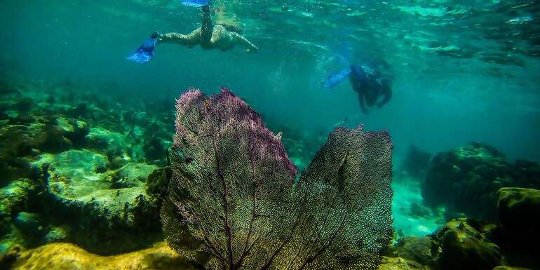 Journeys: Explore Belize