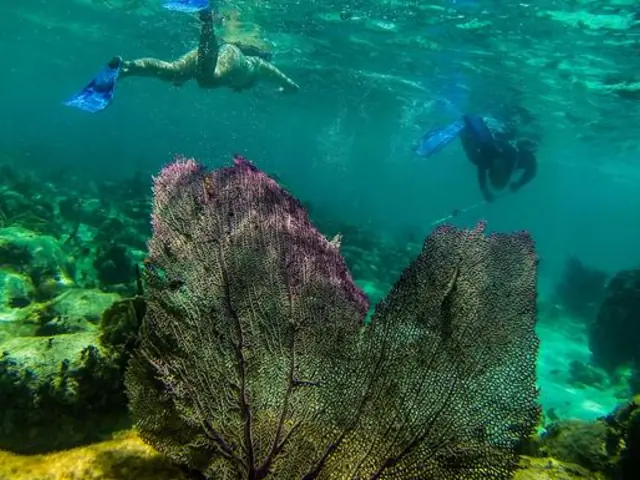 Journeys: Explore Belize