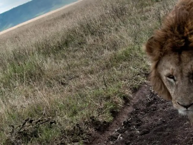 Tanzania to Zanzibar: White Sands & the Wilderness