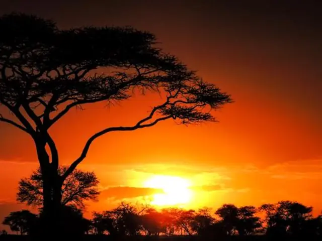 Nairobi to Zanzibar: Serengeti & Sunsets