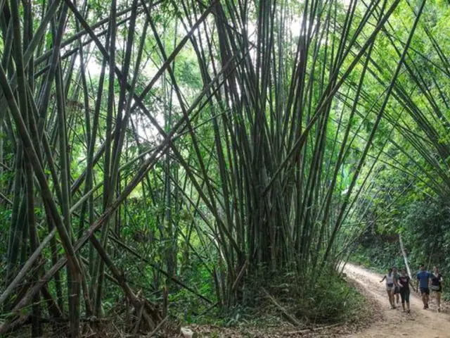 Laos to Northern Thailand: Treks & Trails